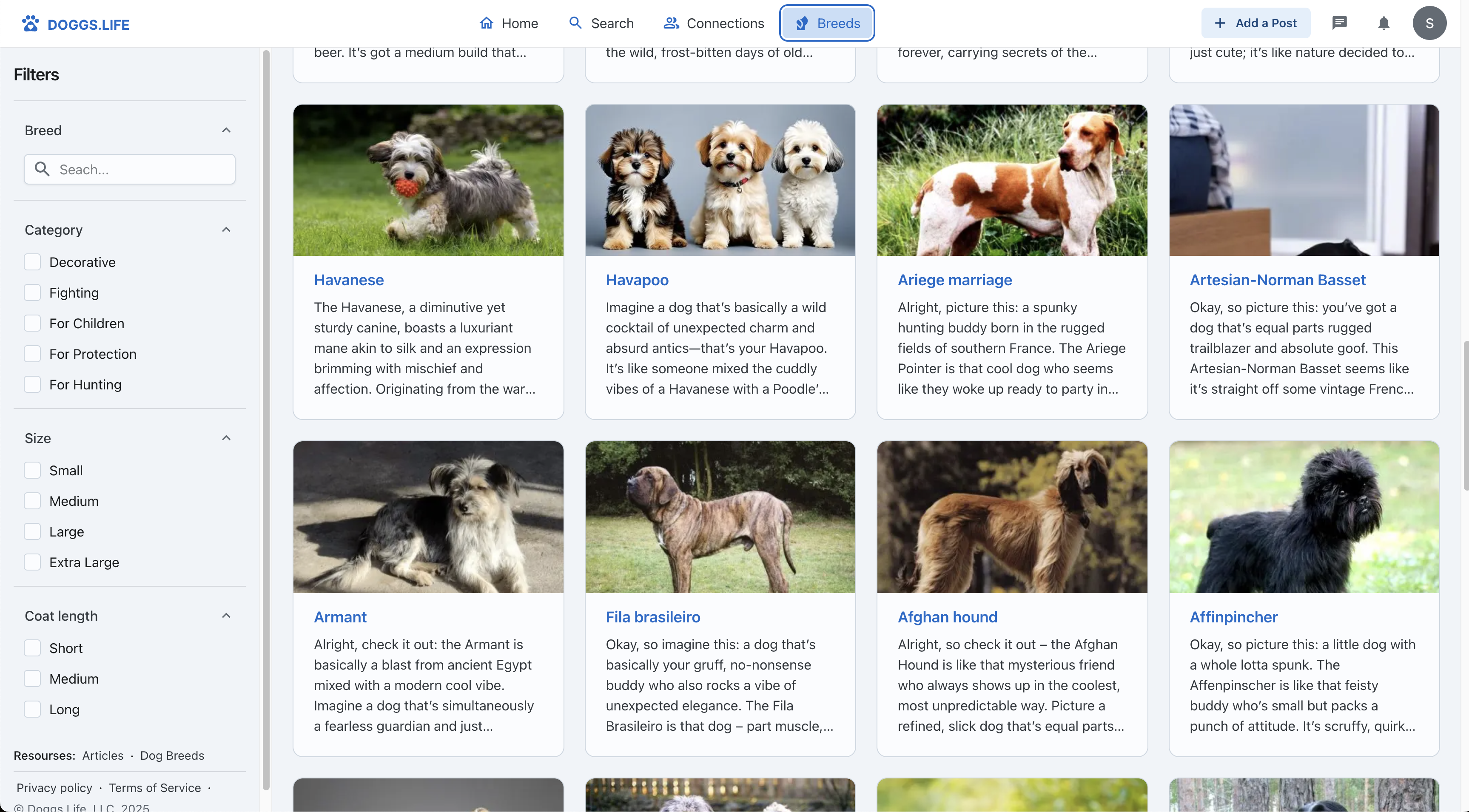 Doggs.Life - Social network for dog lovers - share, connect, explore. media 4
