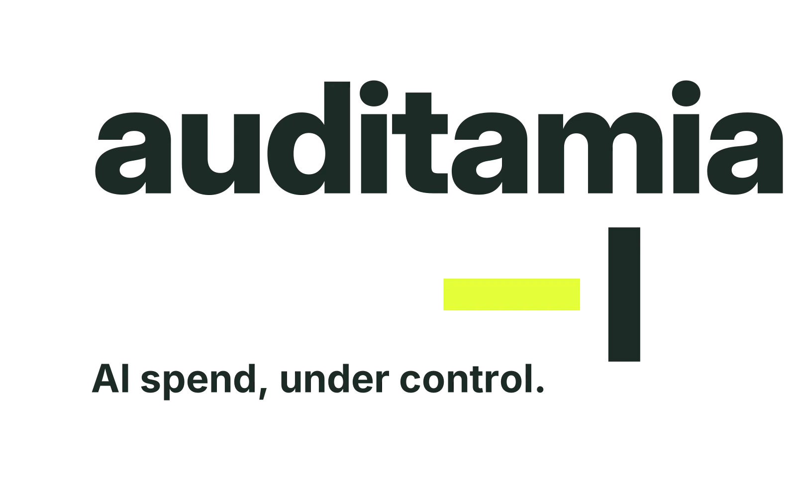 auditamia · Your AI spend, under control screenshot 2
