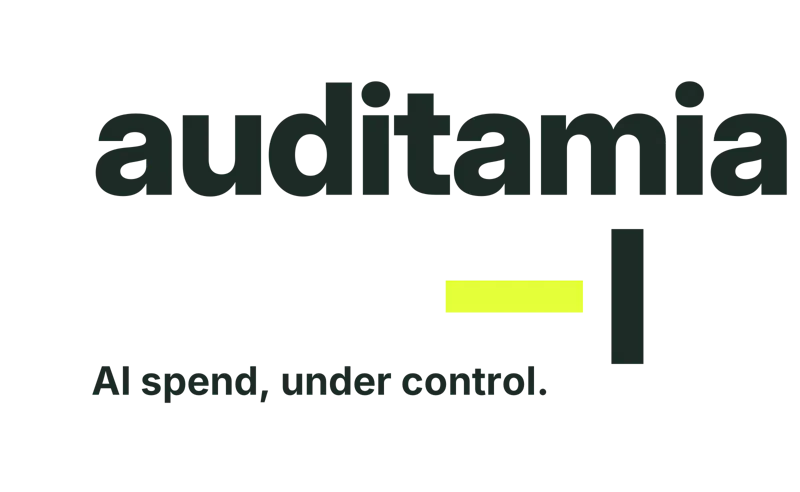 auditamia · Your AI spend, under control screenshot 2