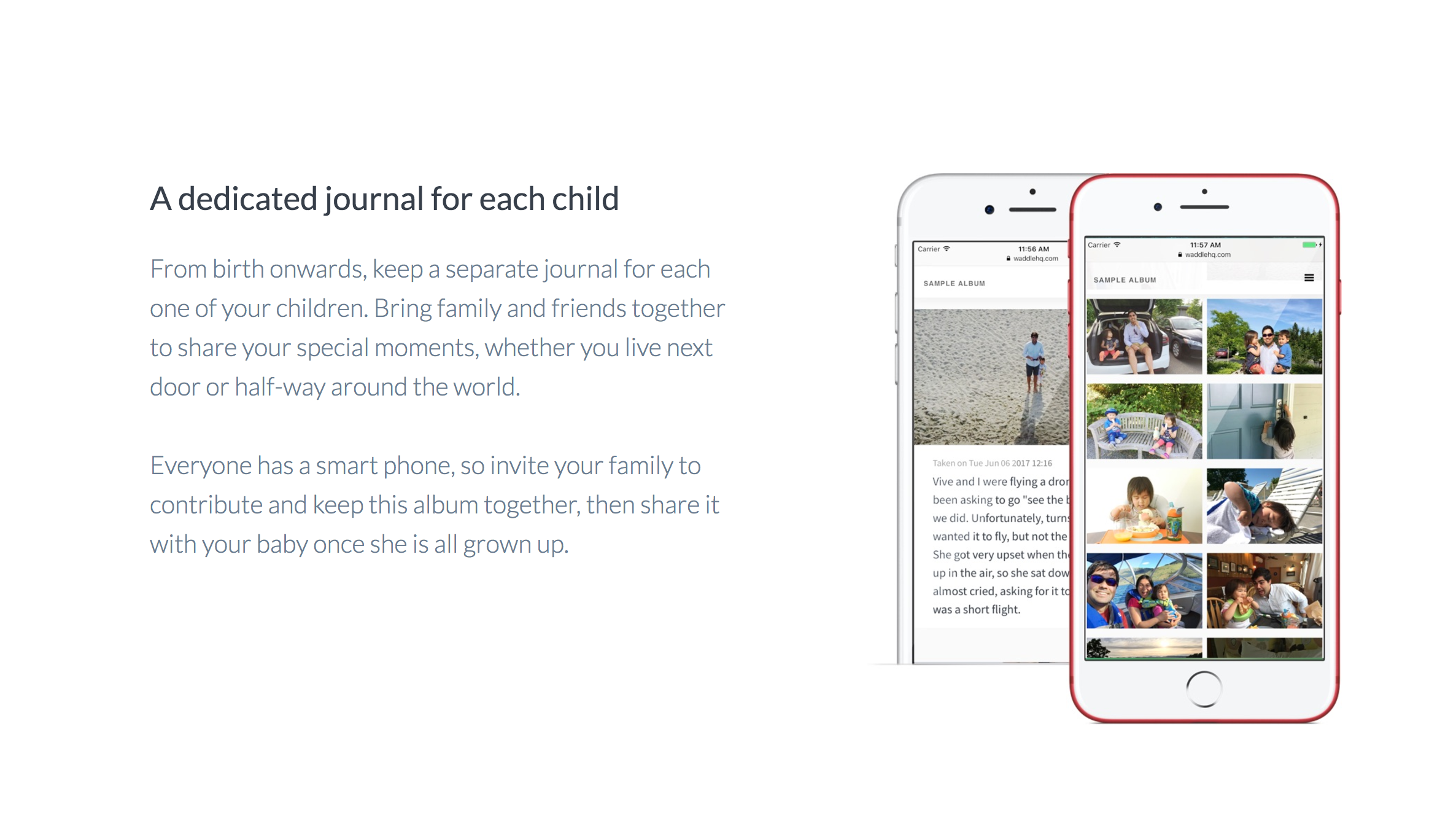 Waddle Photos gallery image