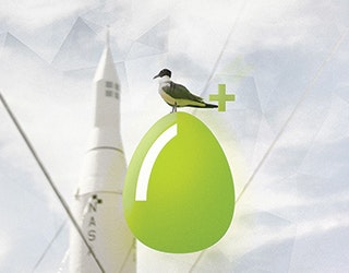 Projegg gallery image