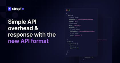 Strapi 5 gallery image