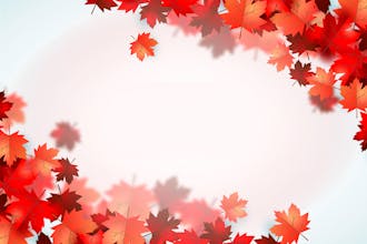 Flexinest Loans | Payday Loans in Canada gallery image