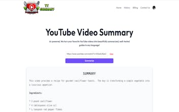 YT Summary gallery image