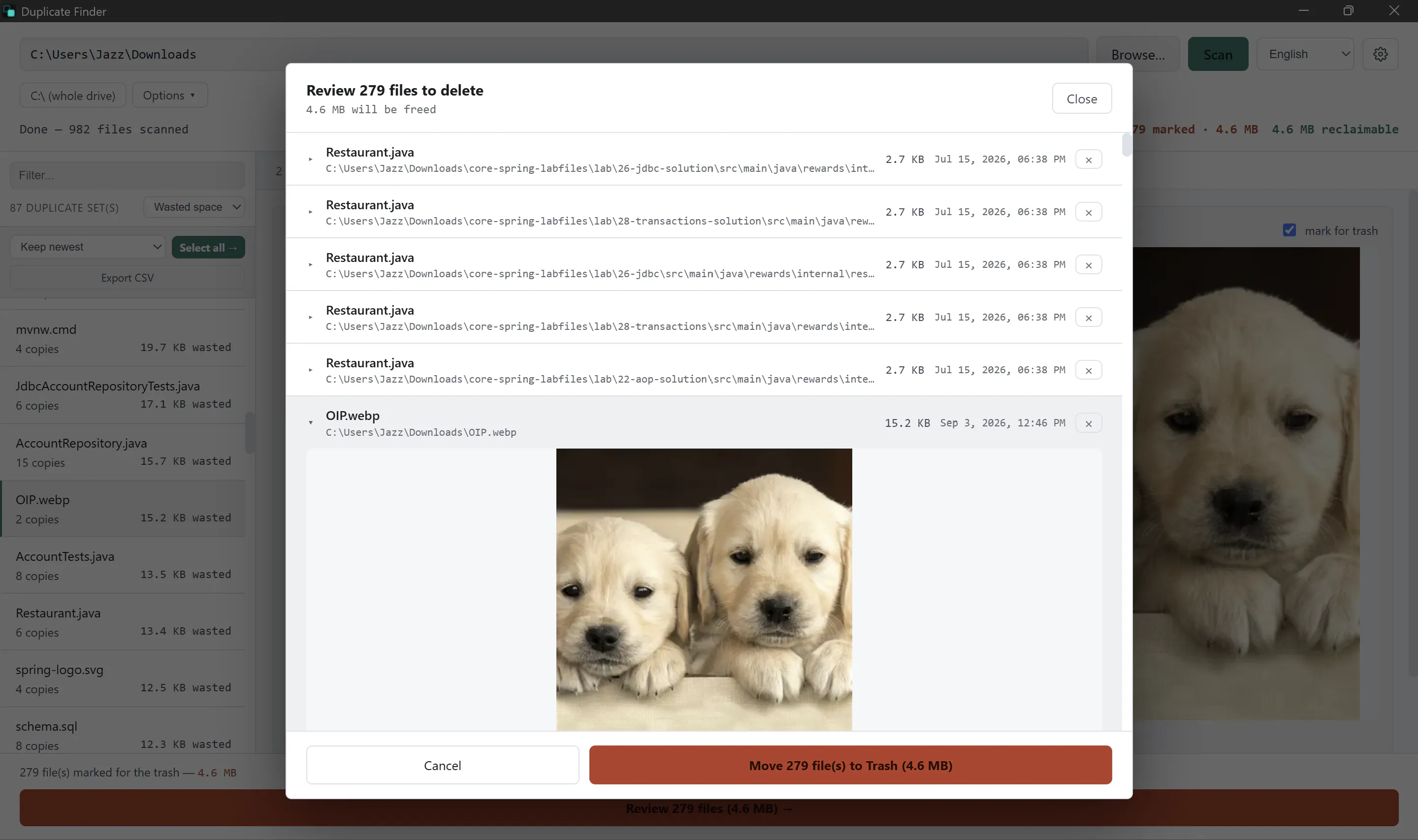 Duplicate Finder gallery image
