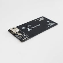 Hunter Cat gallery image