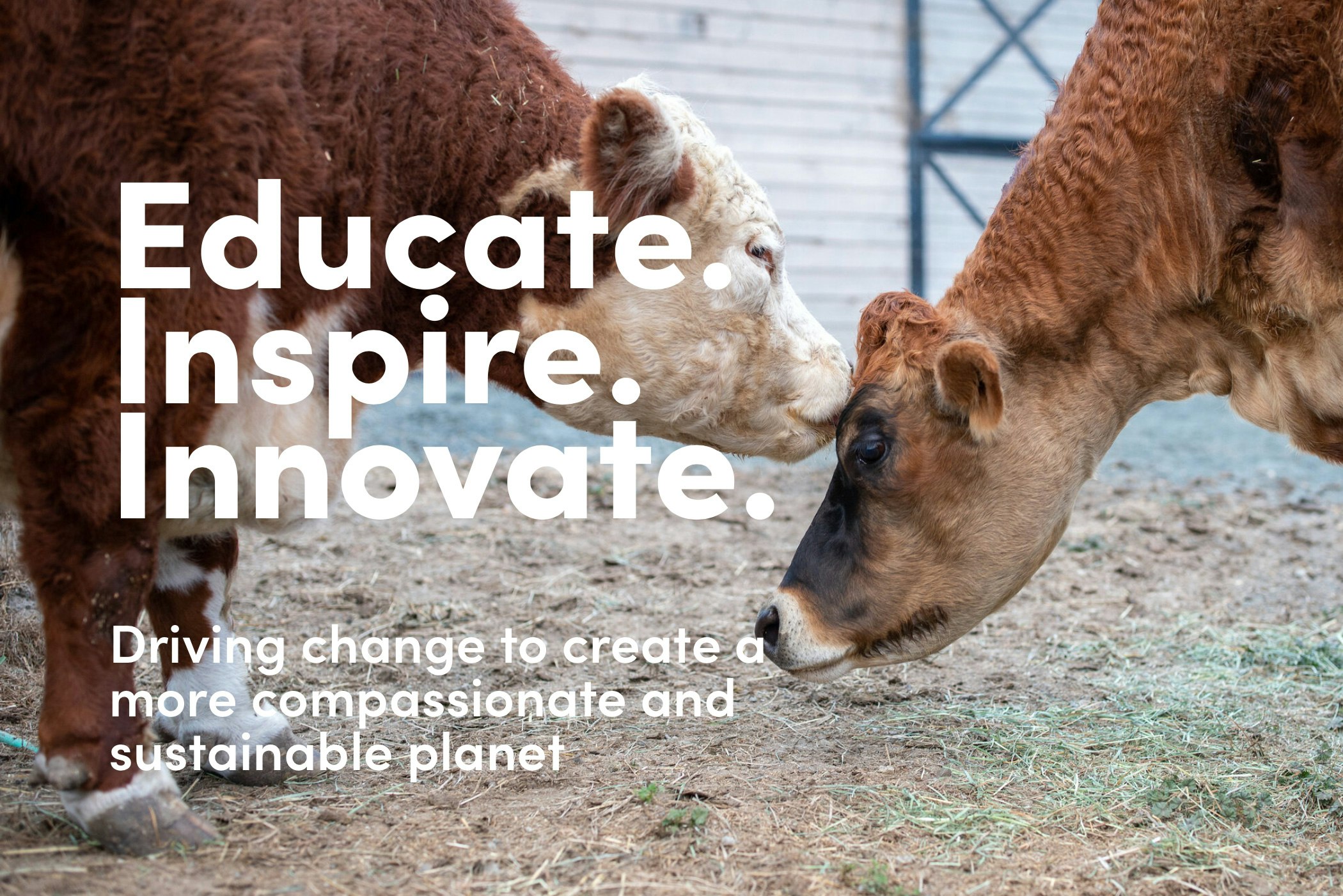 Goat 2 Meeting gallery image