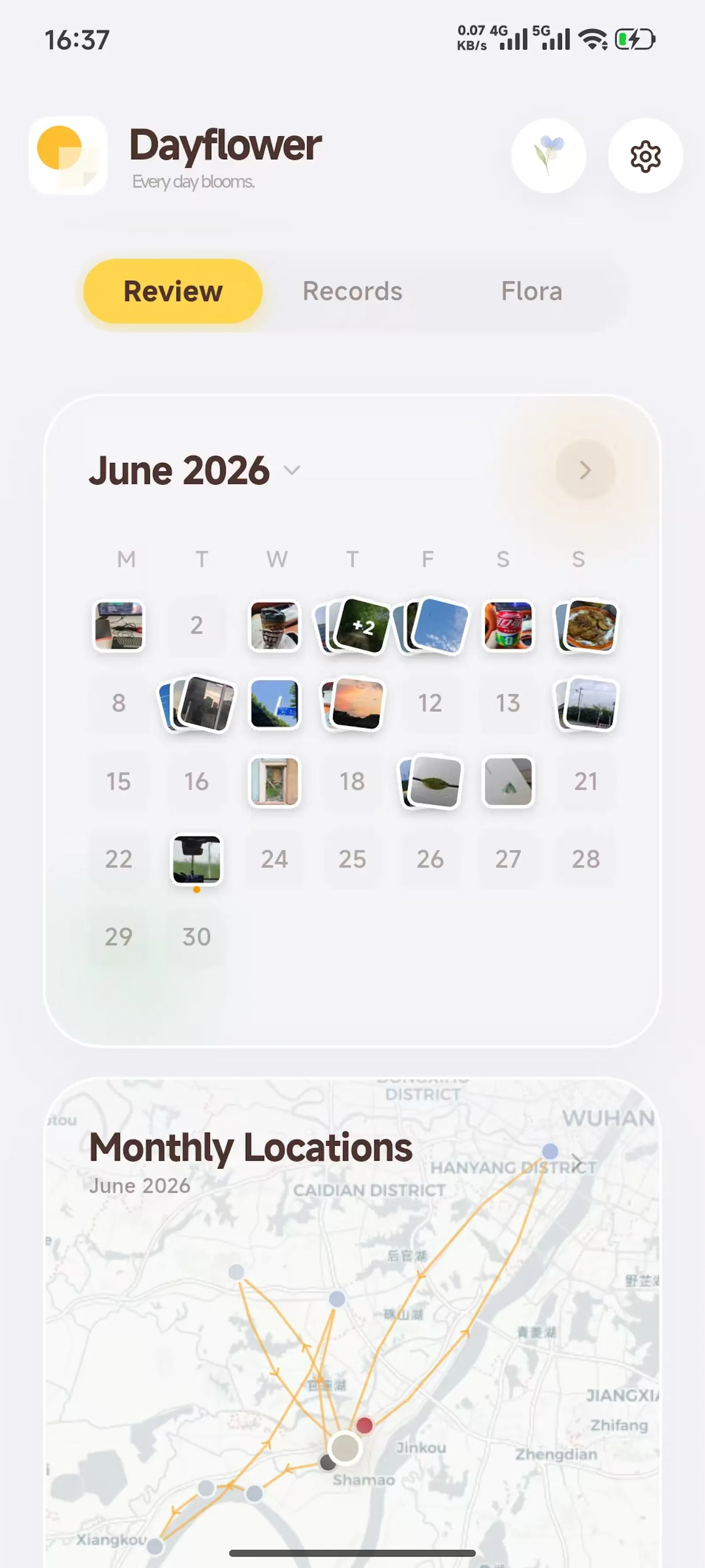 Dayflower screenshot 2