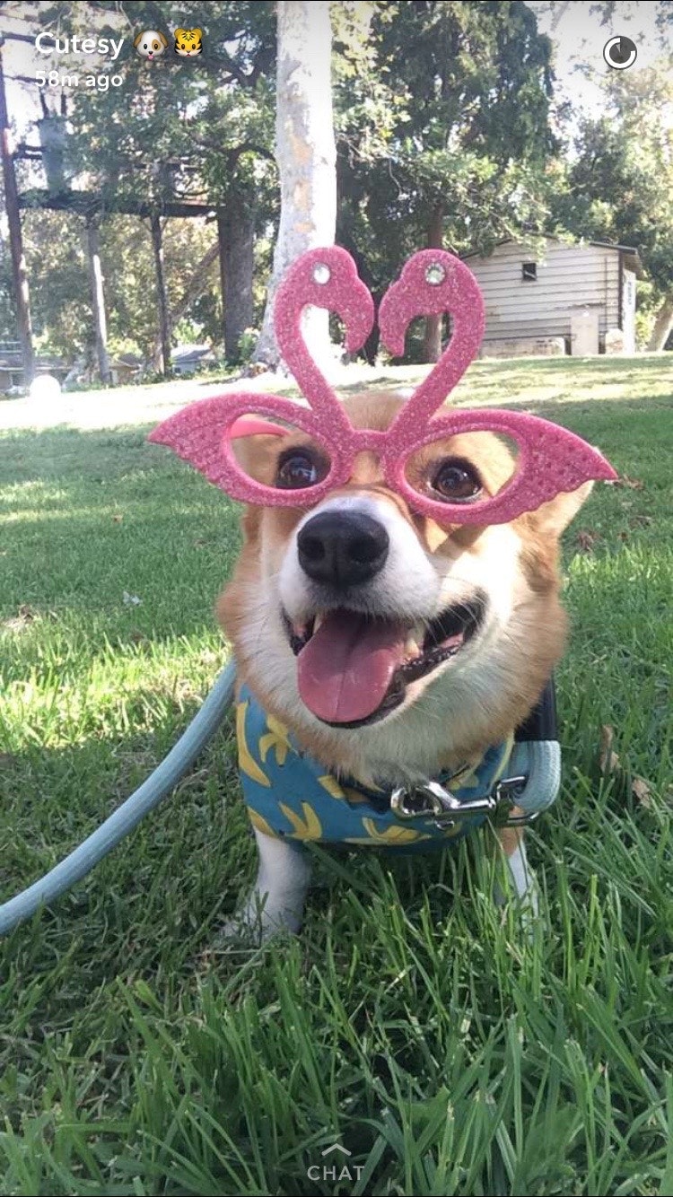 CutesyTV gallery image