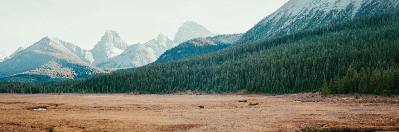 Sterling Montes cover