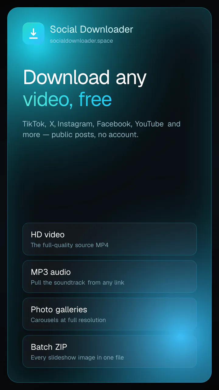 Social Media Downloader gallery image