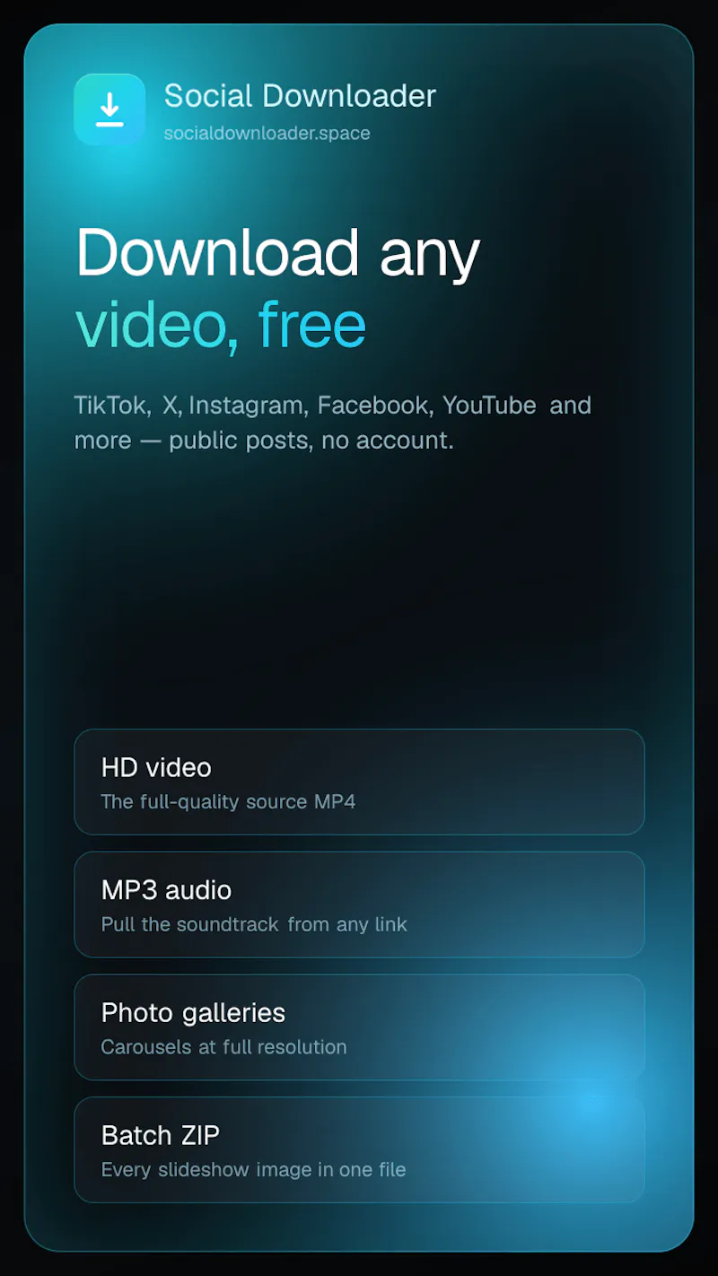 Social Media Downloader screenshot 3