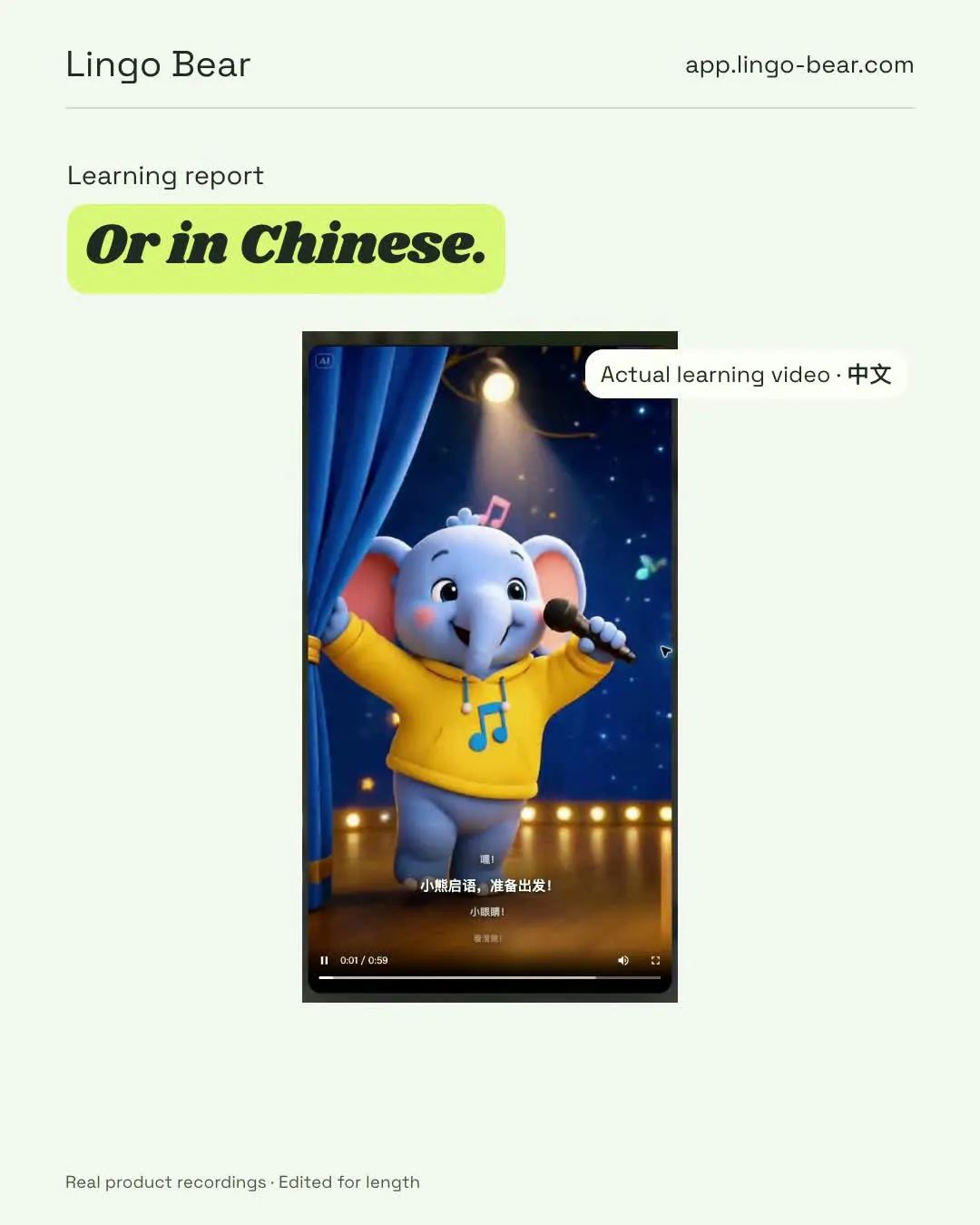 Lingo Bear gallery image