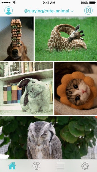 Finch for Twitter gallery image