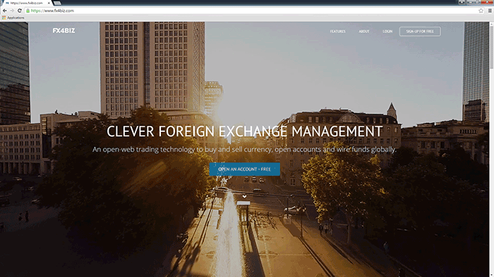 FX4BIZ gallery image