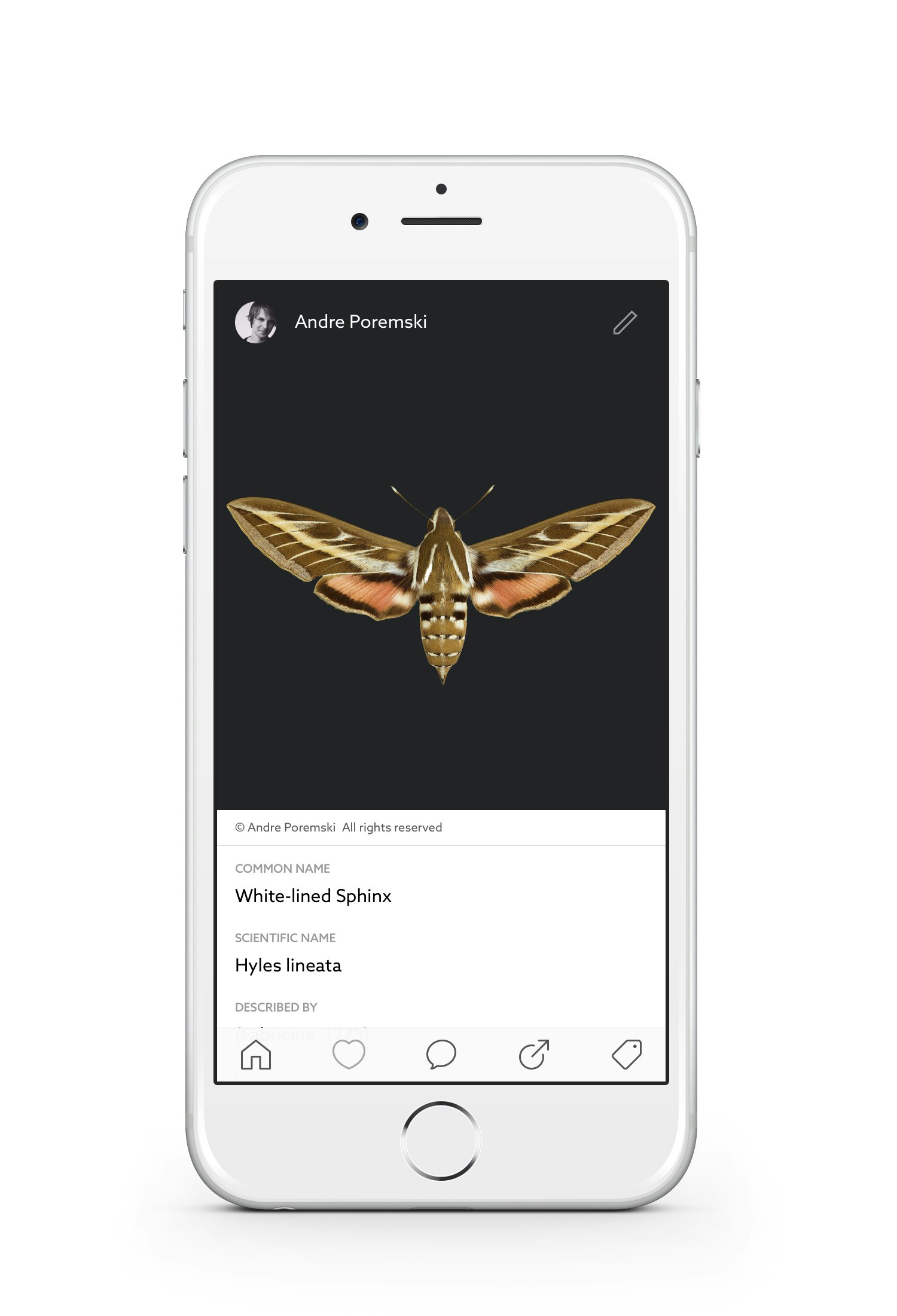 Leps by Fieldguide gallery image