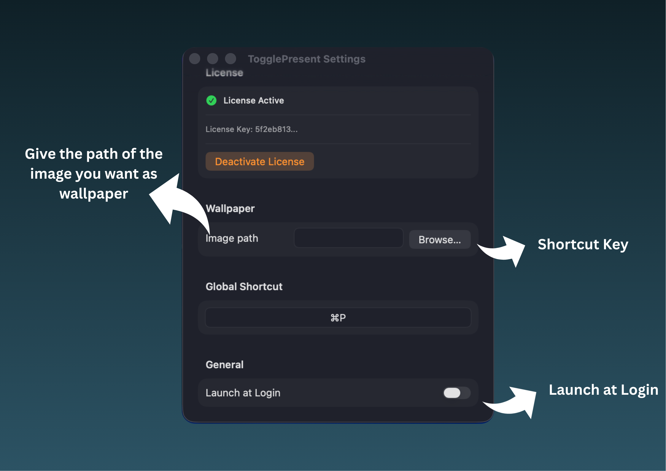 TogglePresent gallery image