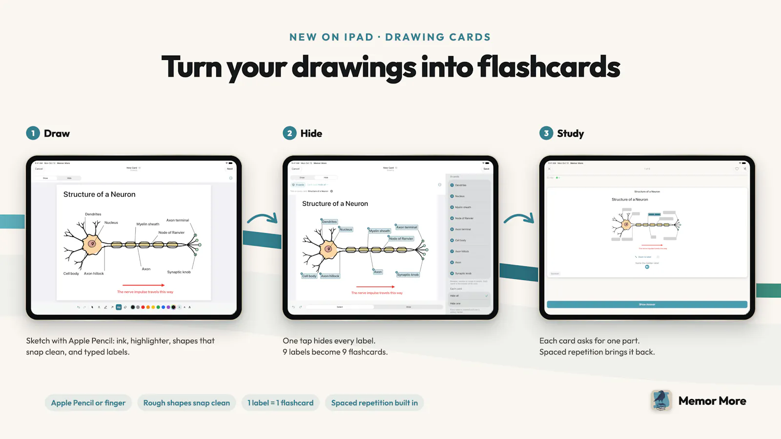 Memor More: Enhanced flashcards screenshot 3