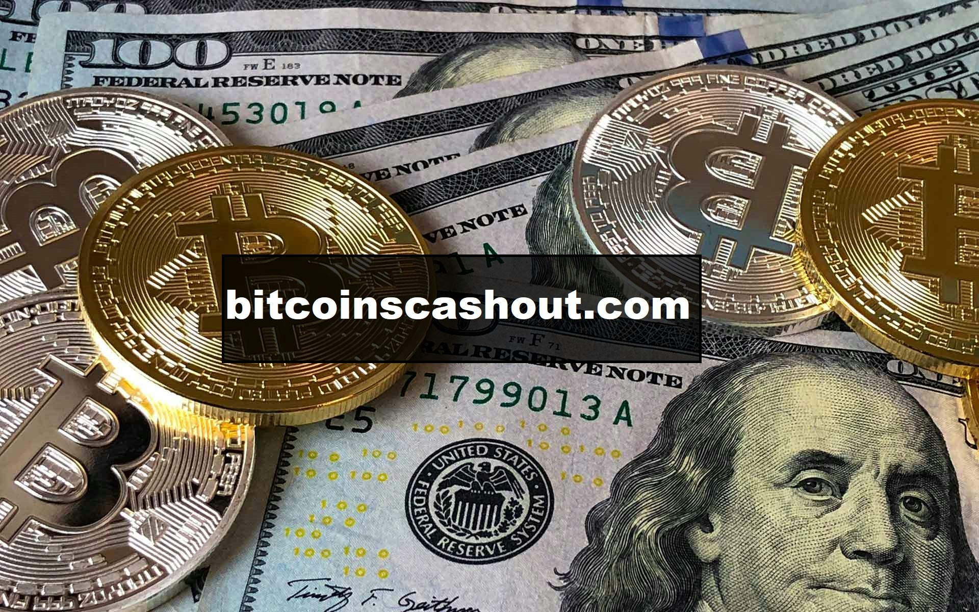 Cryptocurrency Bitcoin To USD Exchange