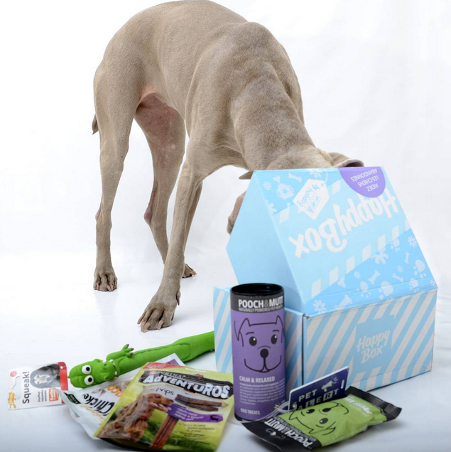 HappyBox by Holidog gallery image