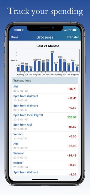 Swift Budget gallery image