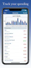Swift Budget gallery image