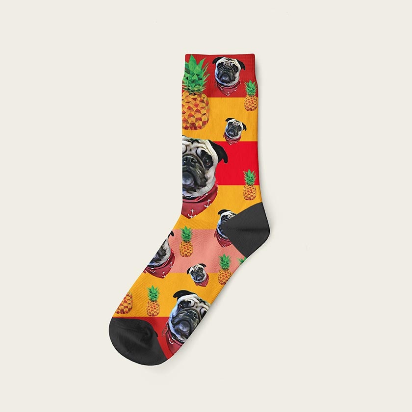 Dogs'n'Sox gallery image