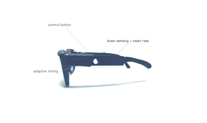 Blueberry gallery image