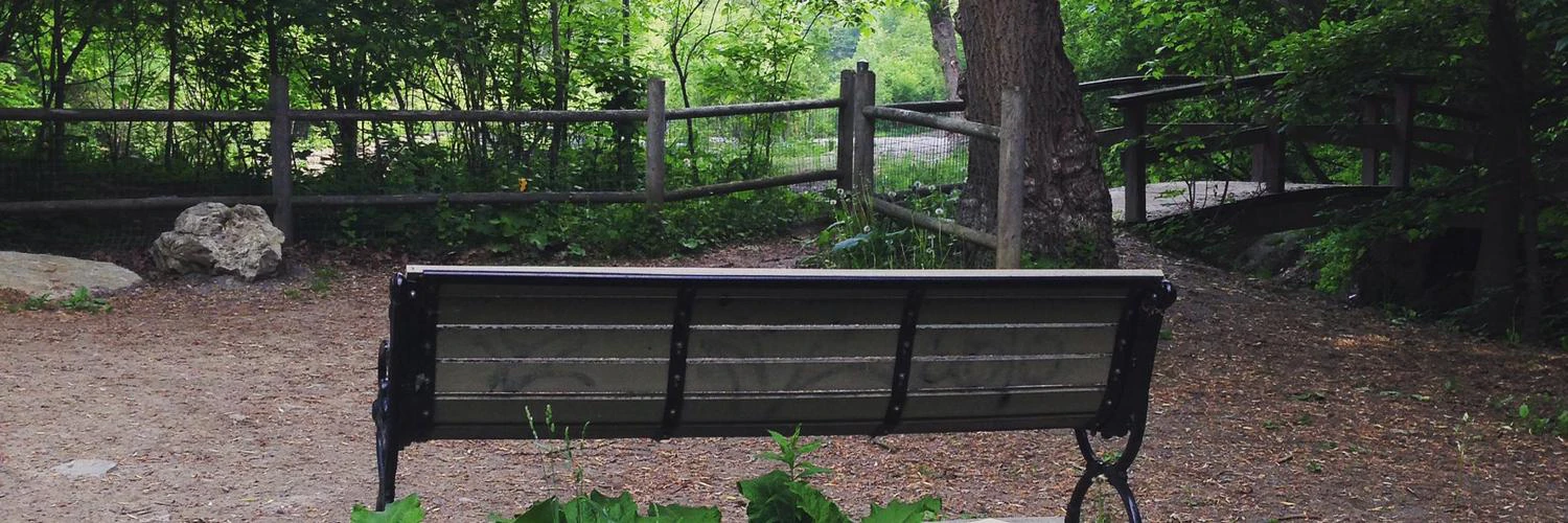 Candice Eisner cover