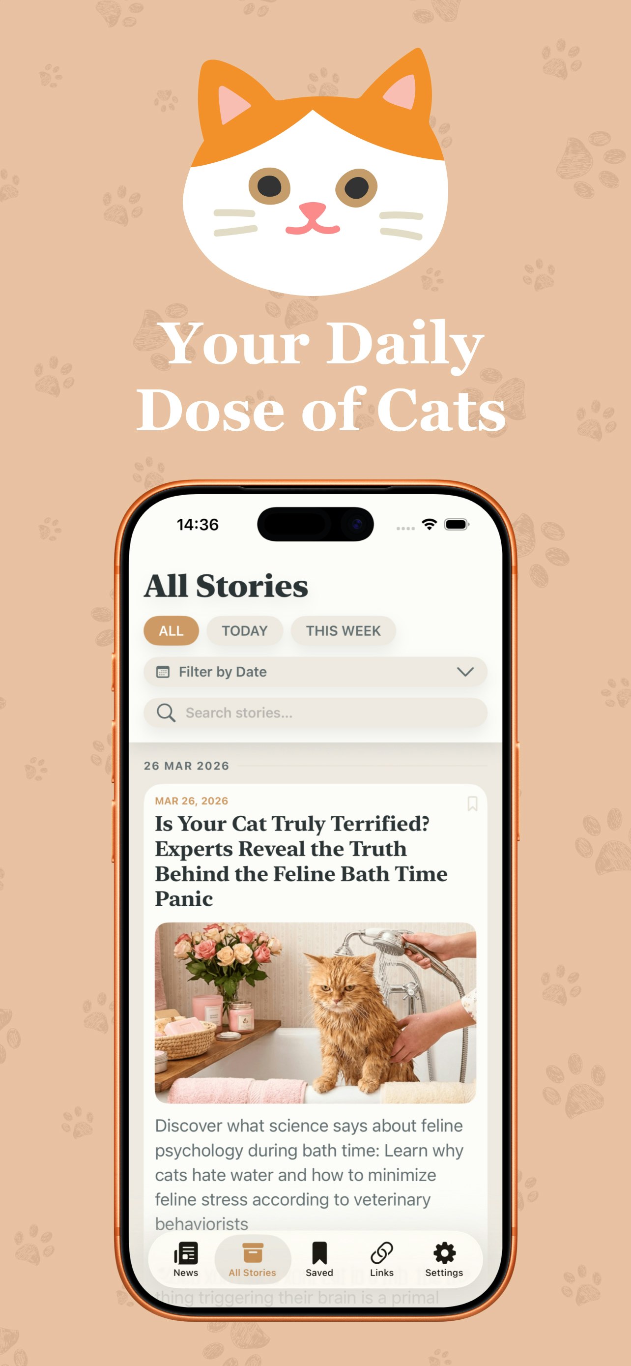 Global Cat News gallery image