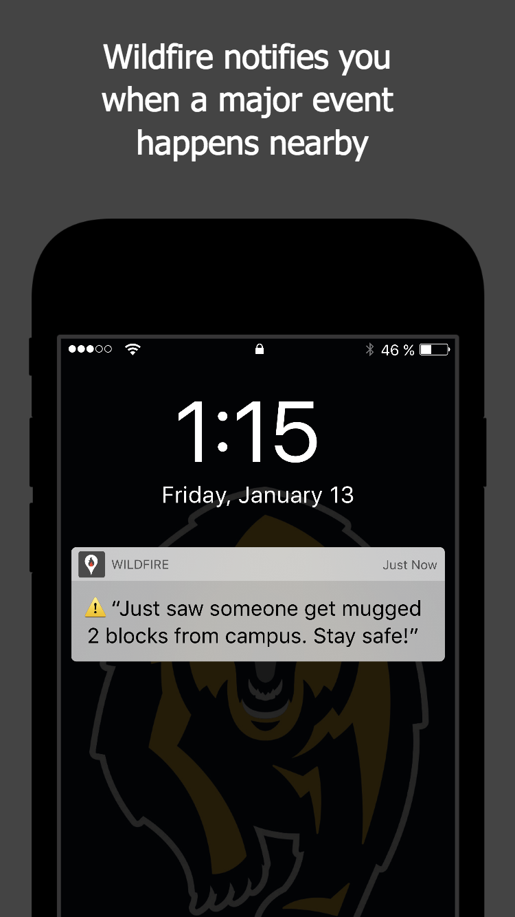 Wildfire gallery image