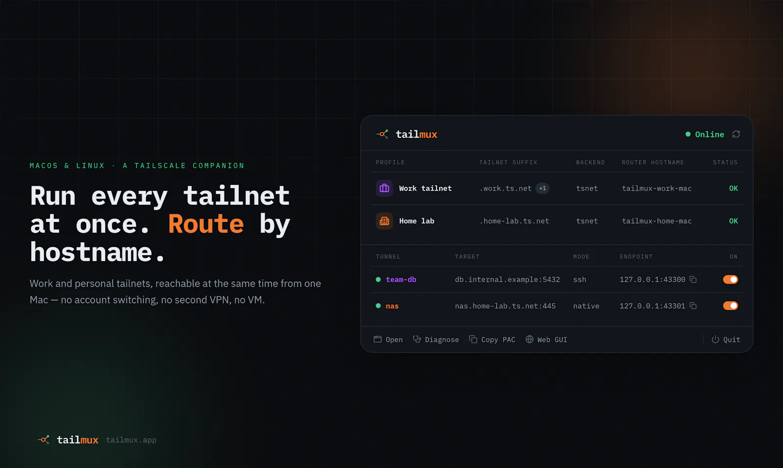 TailMux screenshot 1