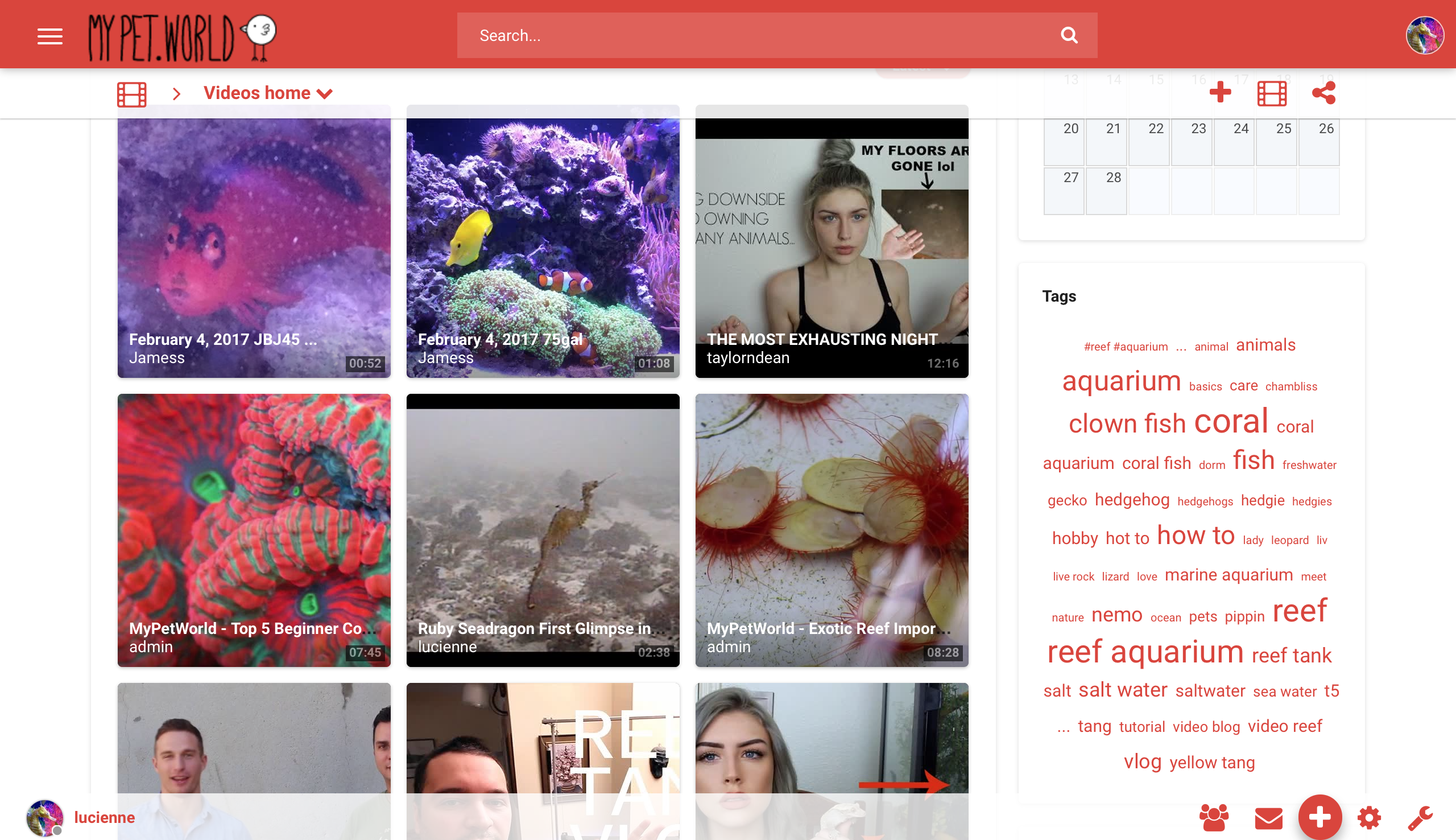 My Pet World gallery image