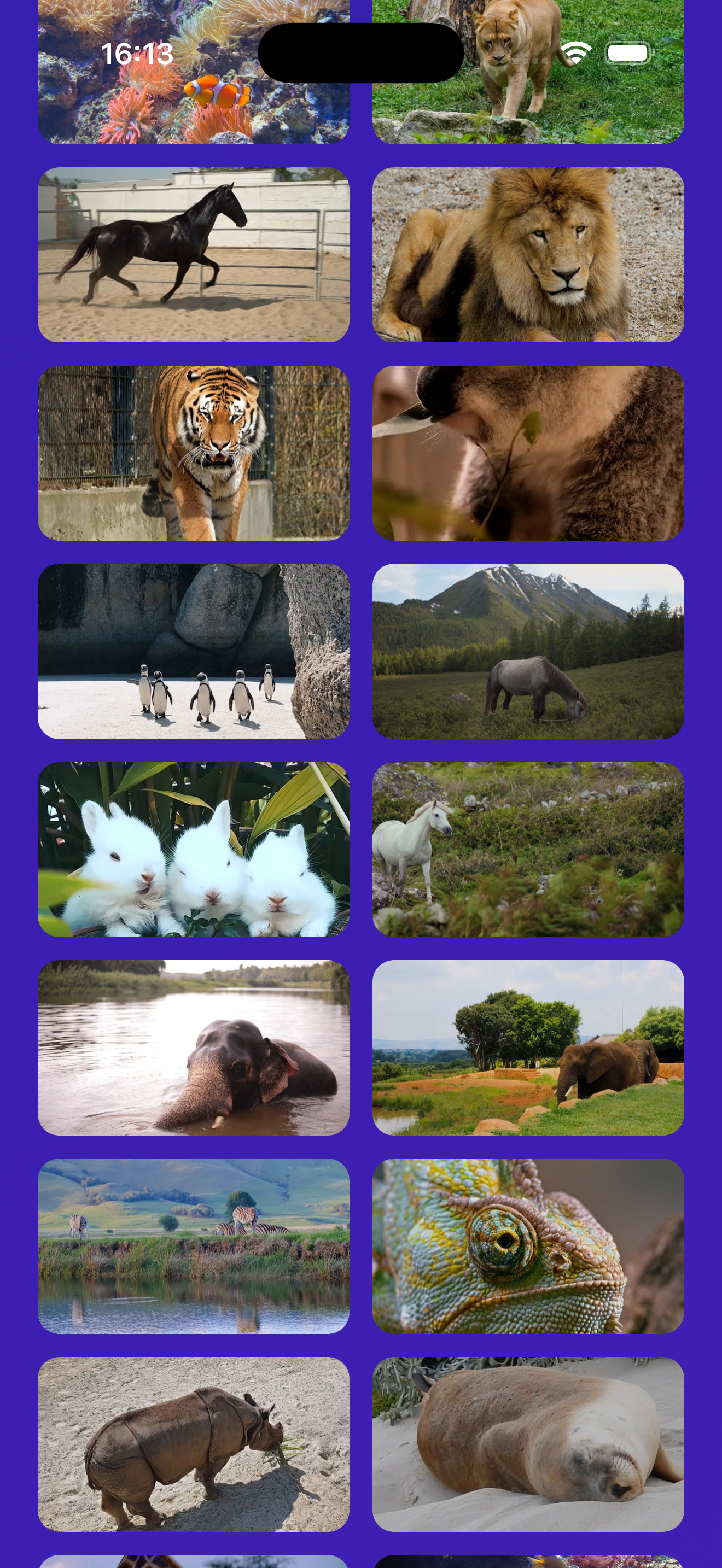Video Puzzle HD gallery image