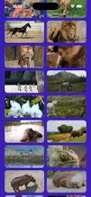 Video Puzzle HD gallery image