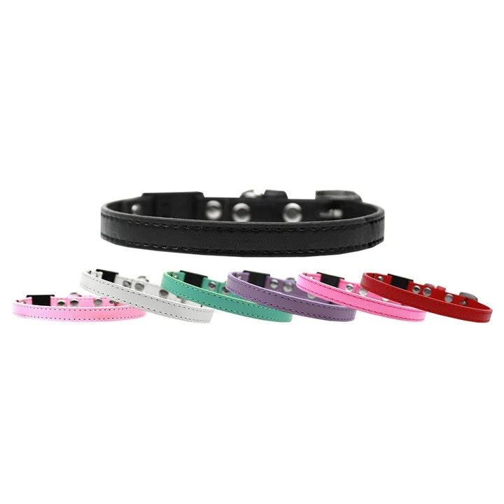 Best Cat Collar to Buy - Chew N Play