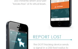 DOTT: The Smart Dog Tag media 1