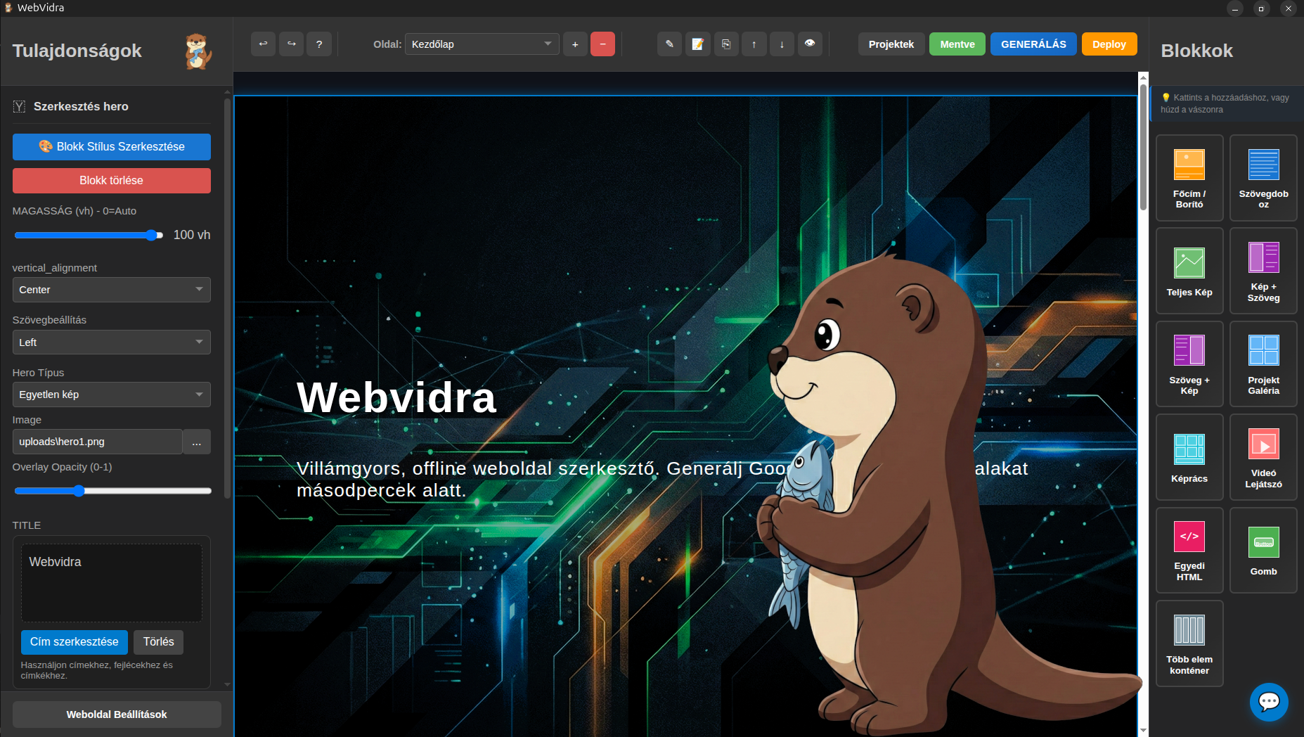 WebVidra gallery image