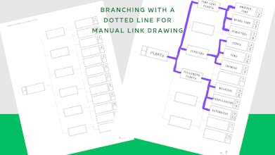 Mind mapping connection gallery image