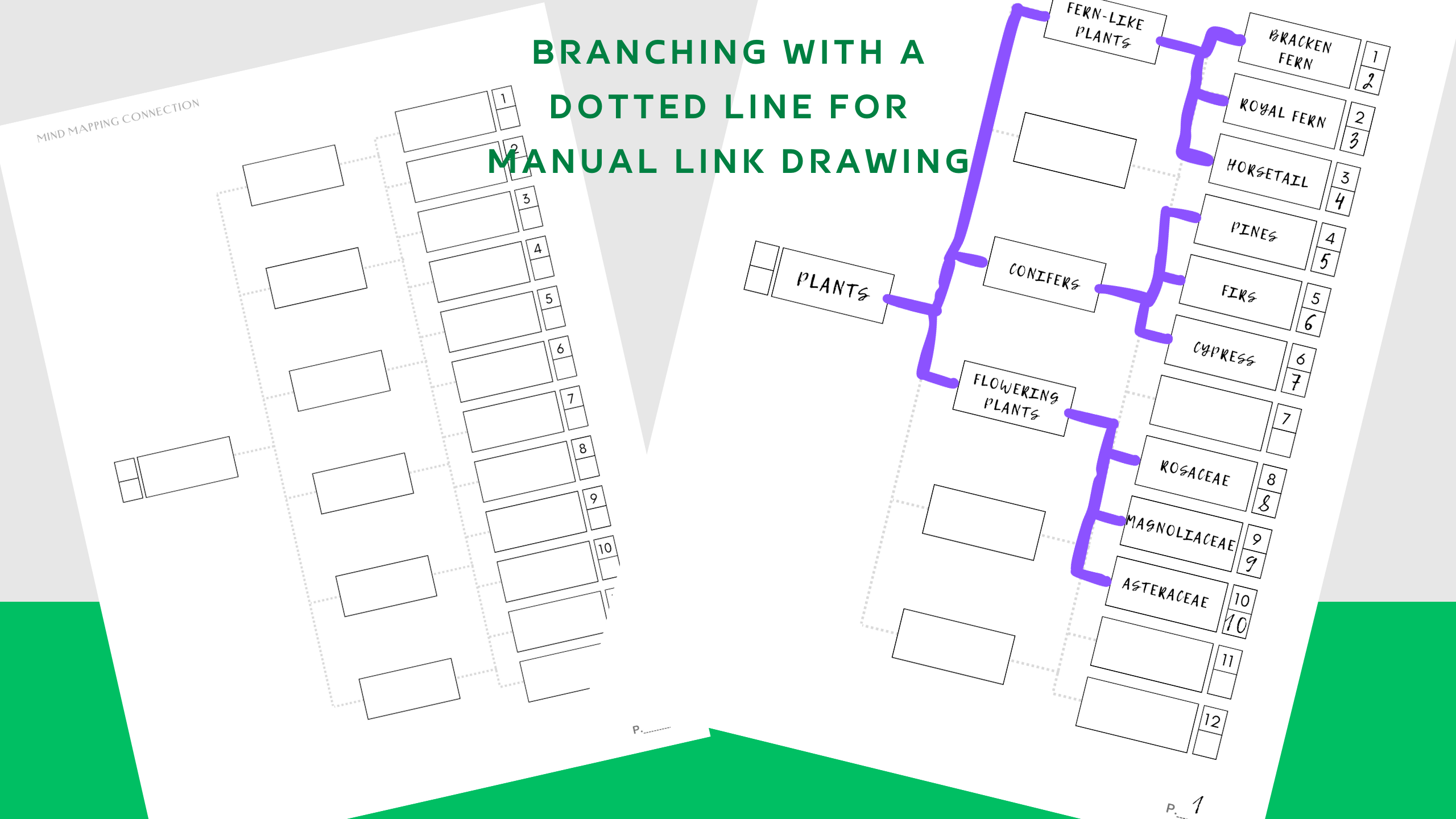 Mind Mapping -Verbindung - Erstellen und erweitern Sie Mind Maps von Hand auf Papierblättern. Medien 3