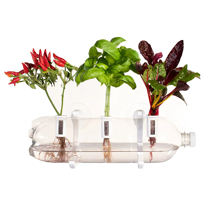Bottle Farm