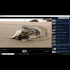 Pinto Web Player