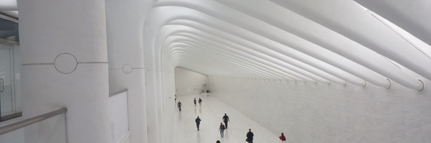 neeharika sinha cover