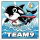 Team9