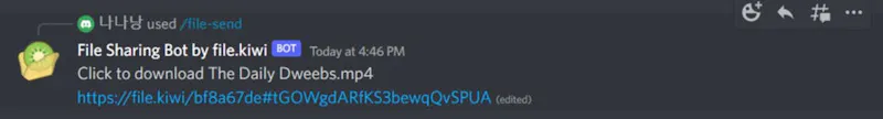 Discord Large File Sharing App  screenshot 5