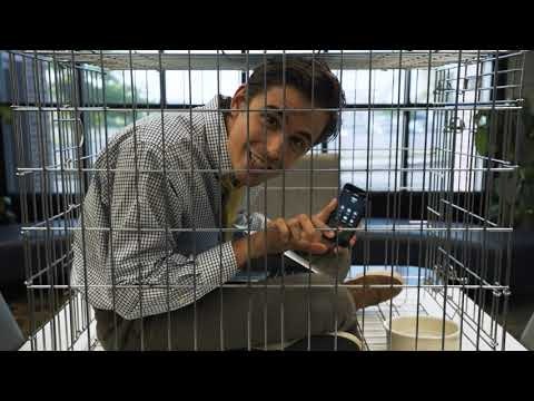 LEON Free gallery image