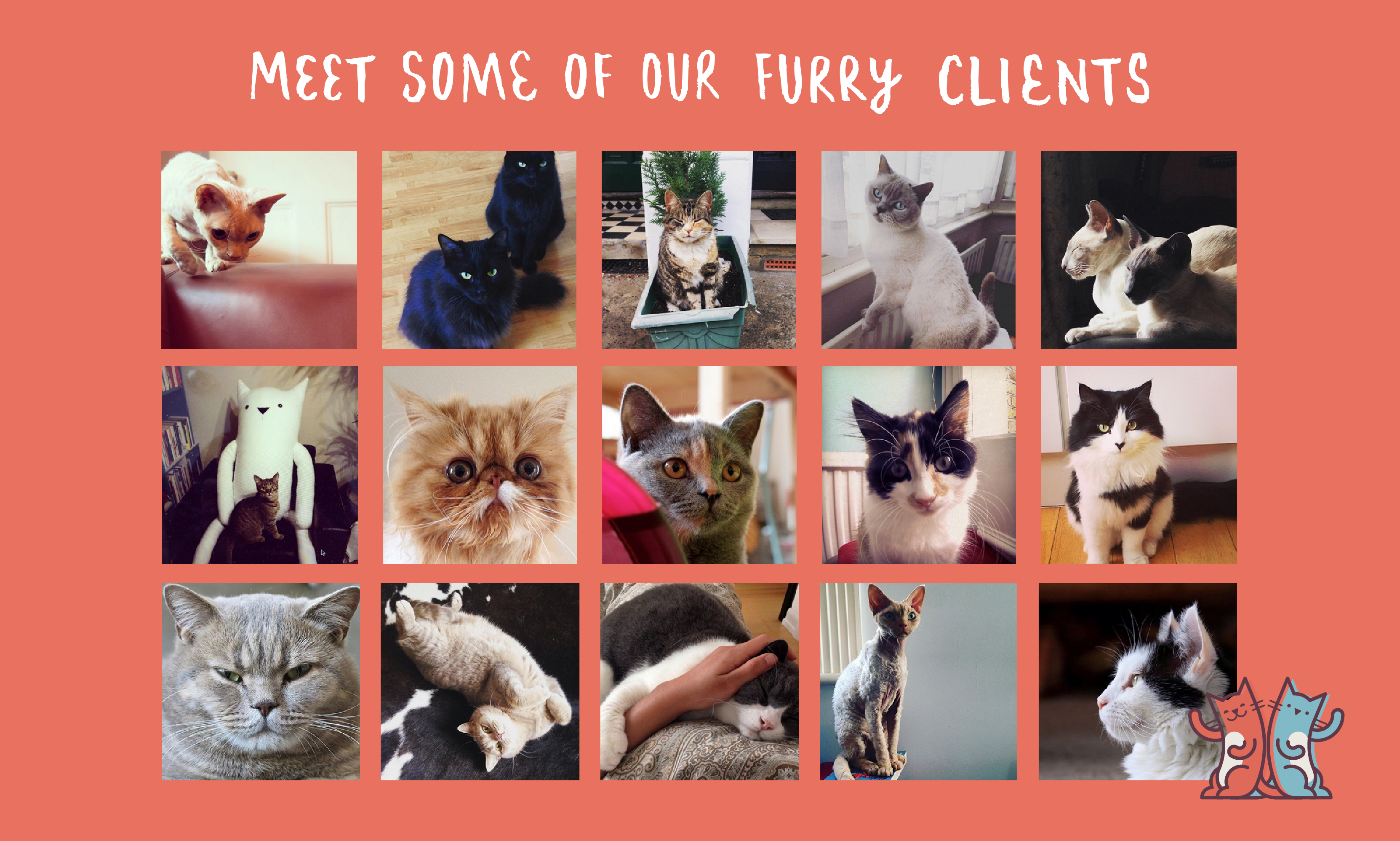 Cat in a Flat gallery image