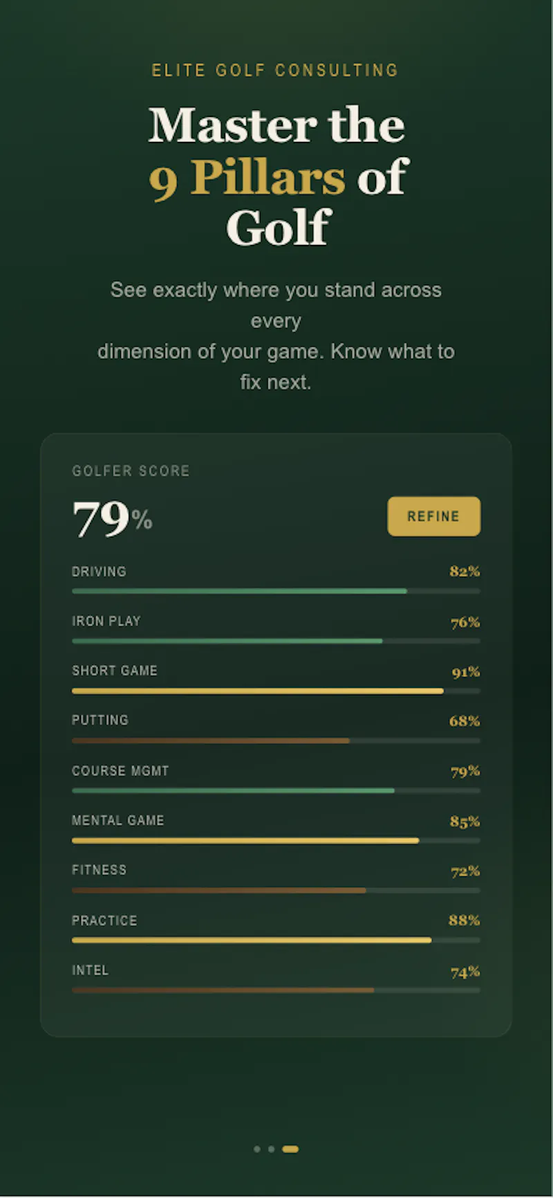 Elite Golf Consulting  screenshot 3