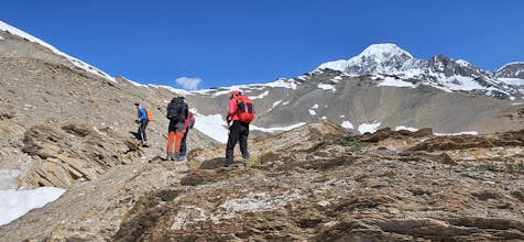 Trips Nomad gallery image