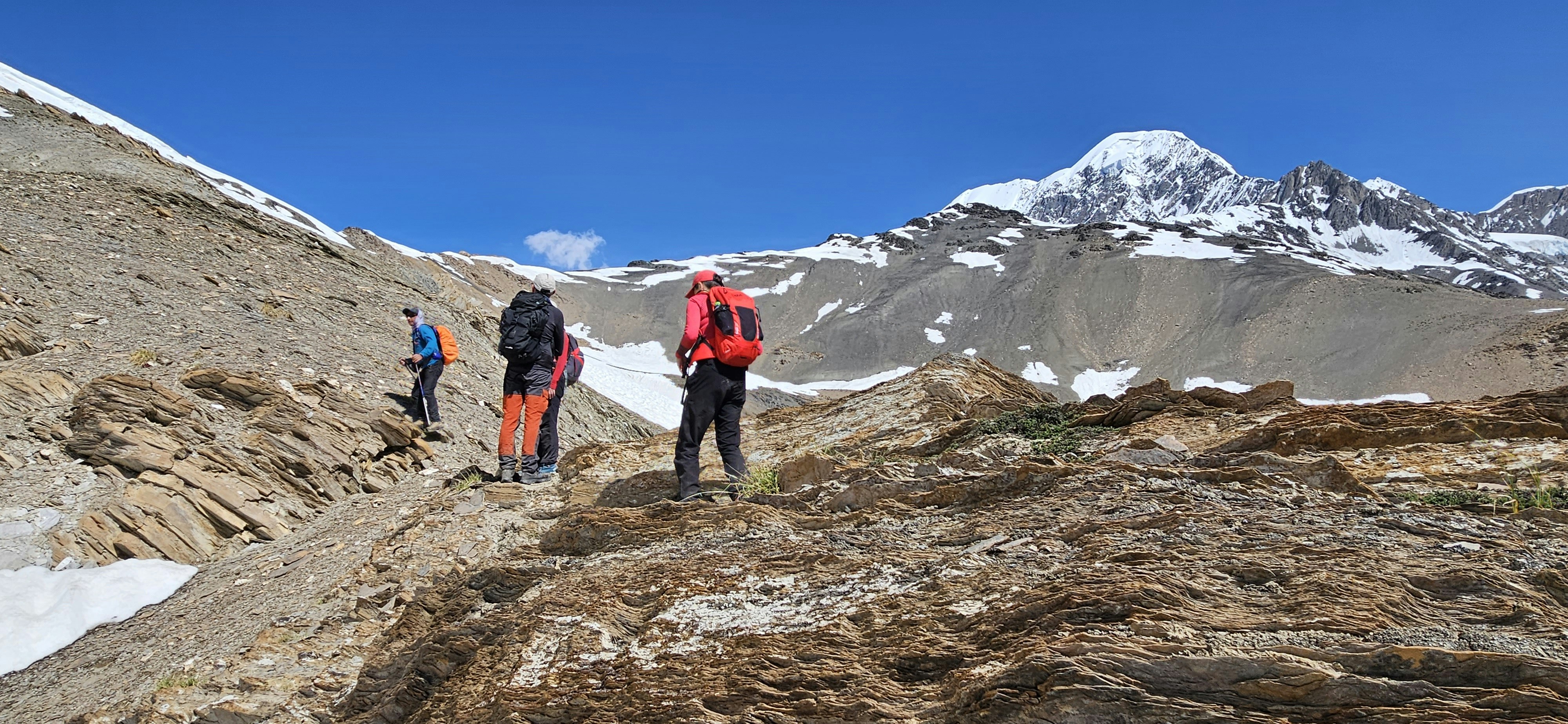 Trips Nomad - Screenshot 3 showing product features and functionality